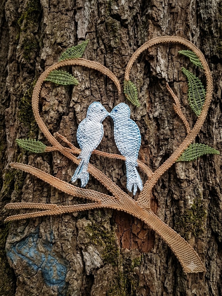 oiseaux nvo